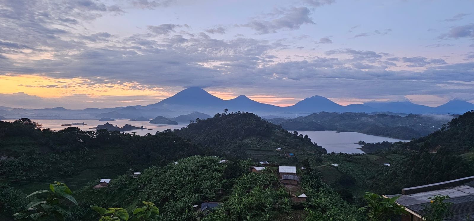 Oeganda: safari, natuur en unieke ontmoetingen in het hart van Afrika